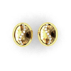 Aros Oval Con 11 Circ. En Riel-9,5mm.